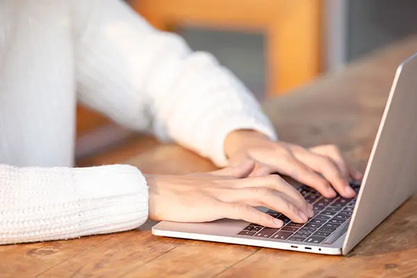 橄榄油公司图文介绍