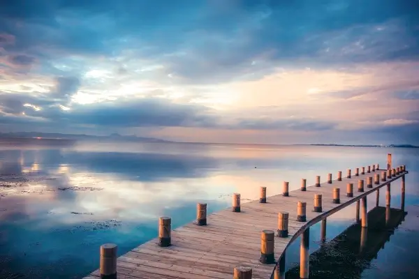 介绍公司发展历程的文章