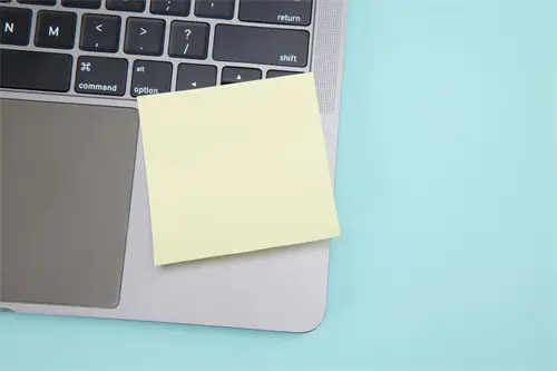 吴猛鸿牛公司介绍